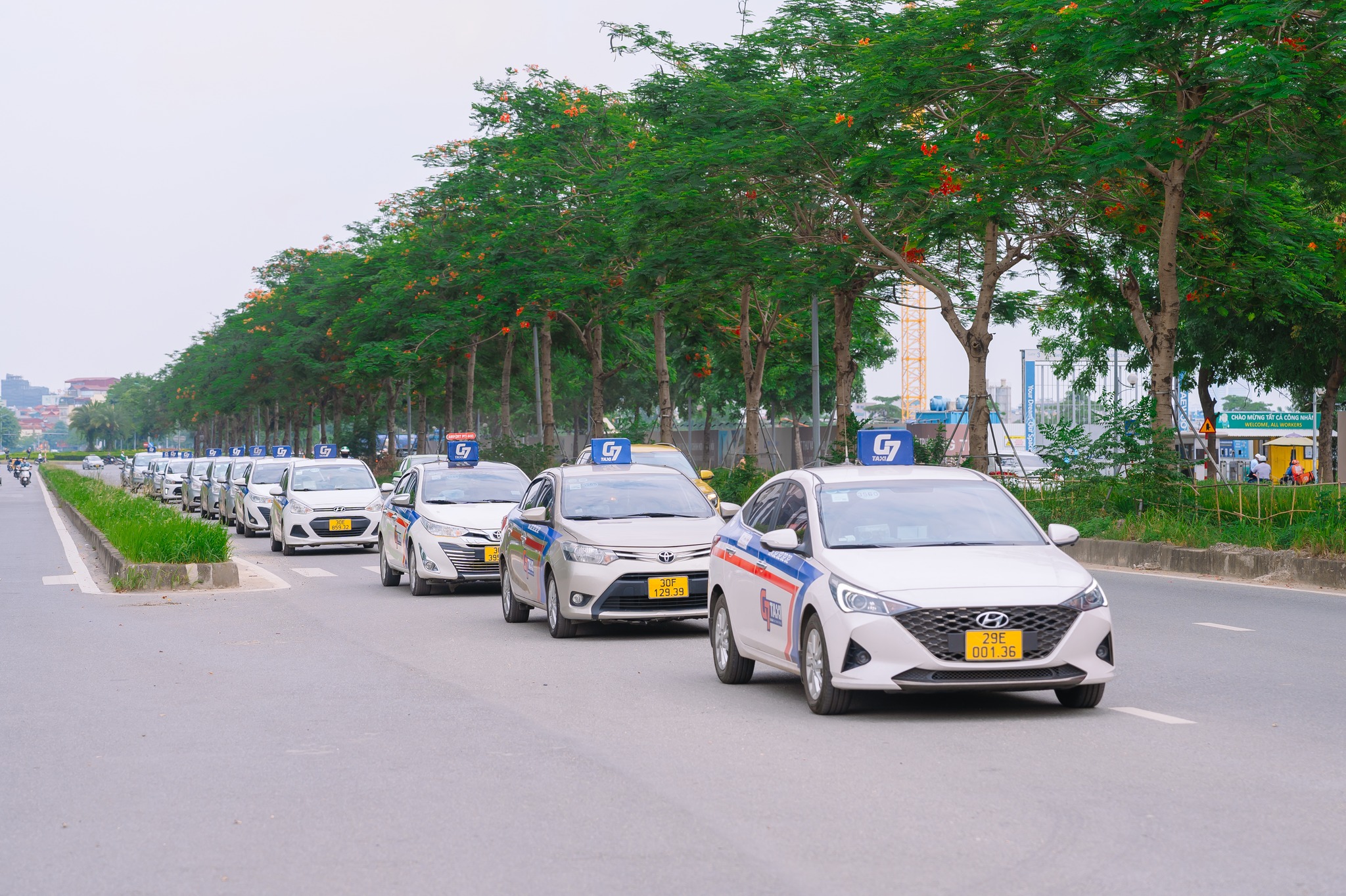 Hệ thống taxi G7