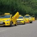 Sen Vàng taxi